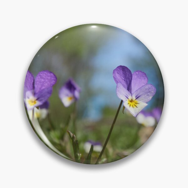 Item preview, Heartsease wide designed and sold by Jouko Lehto Photography.