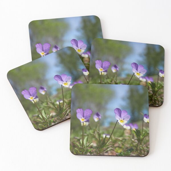 Item preview, Heartsease wide designed and sold by Jouko Lehto Photography.