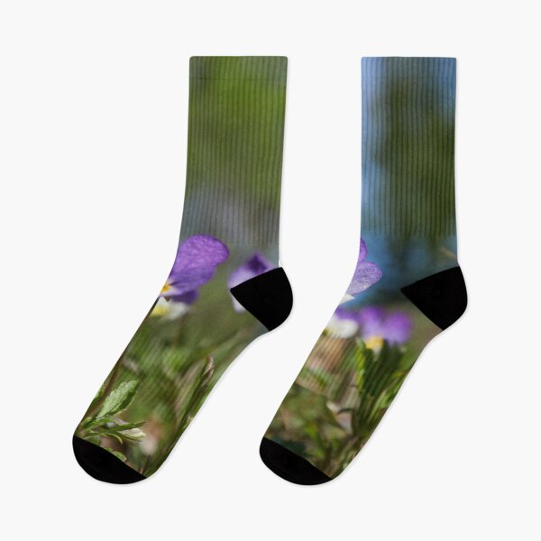 Item preview, Heartsease wide designed and sold by Jouko Lehto Photography.