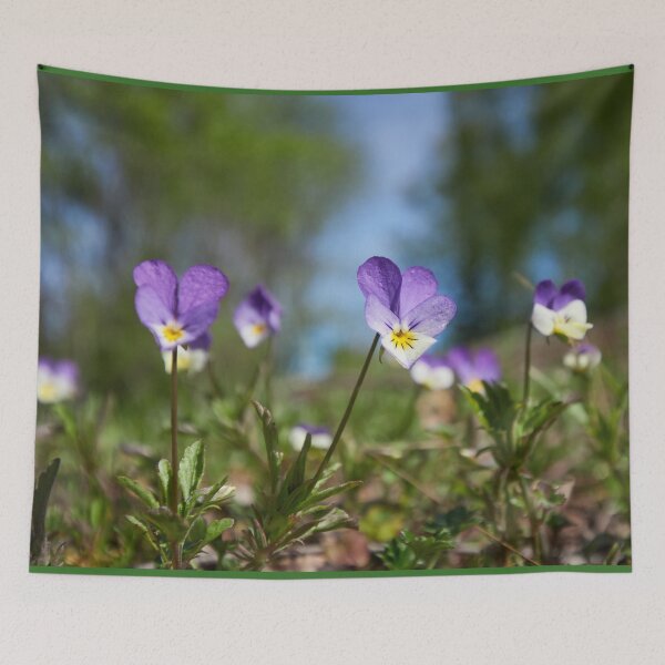 Item preview, Heartsease wide designed and sold by Jouko Lehto Photography.