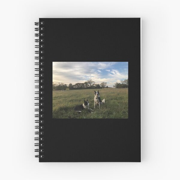 Item preview, Pastoral Border Collies - sarah ruckelshaus, artist designed and sold by mabcr1.