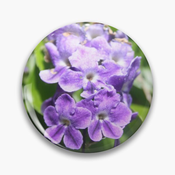 Item preview, Duranta Erecta Verbena Flowering Shrub designed and sold by taiche.