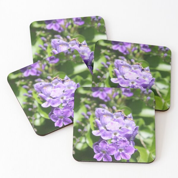 Item preview, Duranta Erecta Verbena Flowering Shrub designed and sold by taiche.