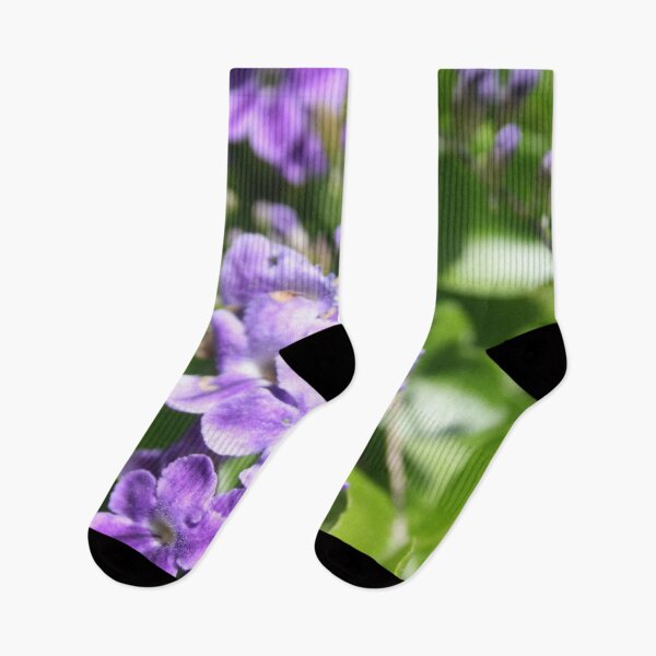 Item preview, Duranta Erecta Verbena Flowering Shrub designed and sold by taiche.