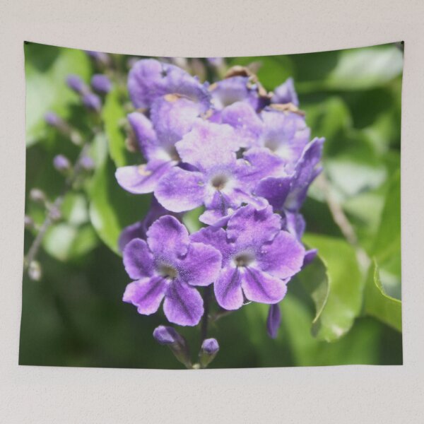 Item preview, Duranta Erecta Verbena Flowering Shrub designed and sold by taiche.