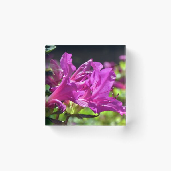 Item preview, rhododendron flower designed and sold by KathleenDawson.