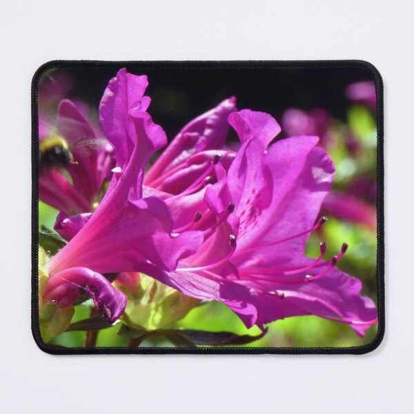 Item preview, rhododendron flower designed and sold by KathleenDawson.