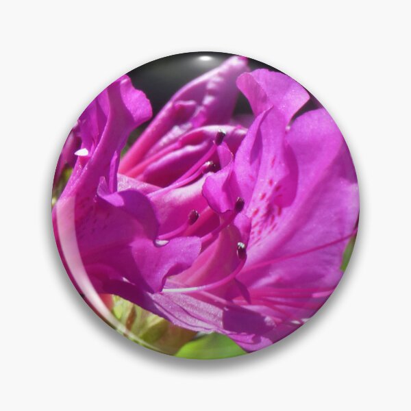 Item preview, rhododendron flower designed and sold by KathleenDawson.
