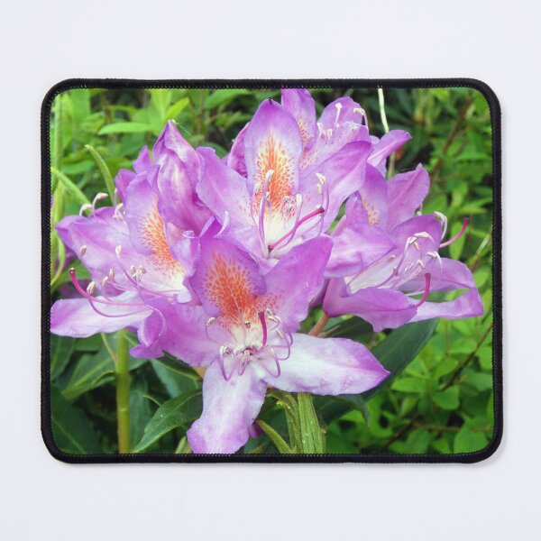 Item preview, rhododendron flower designed and sold by KathleenDawson.