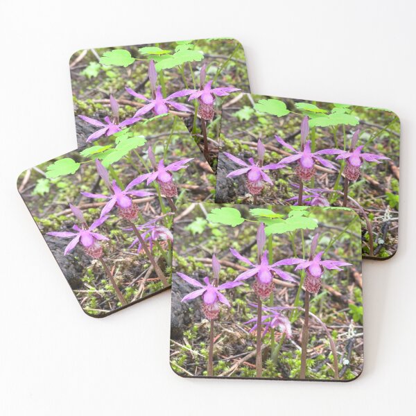 Item preview, Three Ladies in the Forest designed and sold by Alison Meyer Photography.
