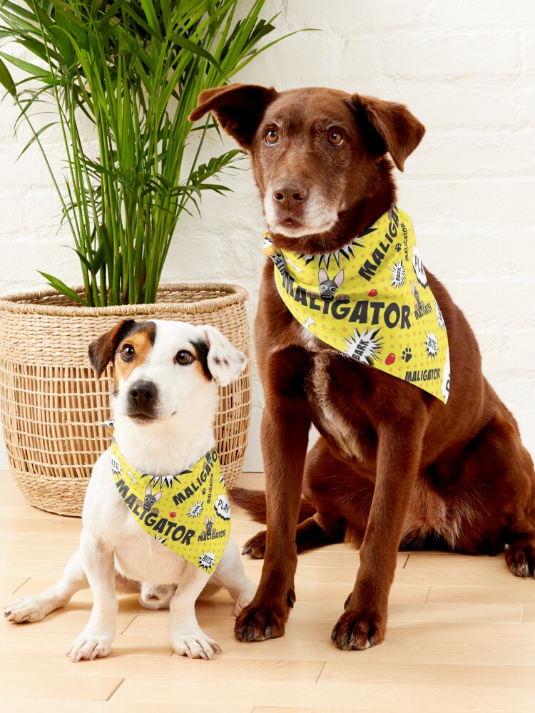 Alternate view of The Maligator: Bark, Bite, Play Pet Bandana