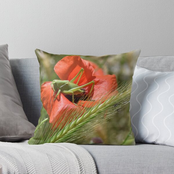 Grasshopper on a Wild Poppy, Berat, Albania Throw Pillow