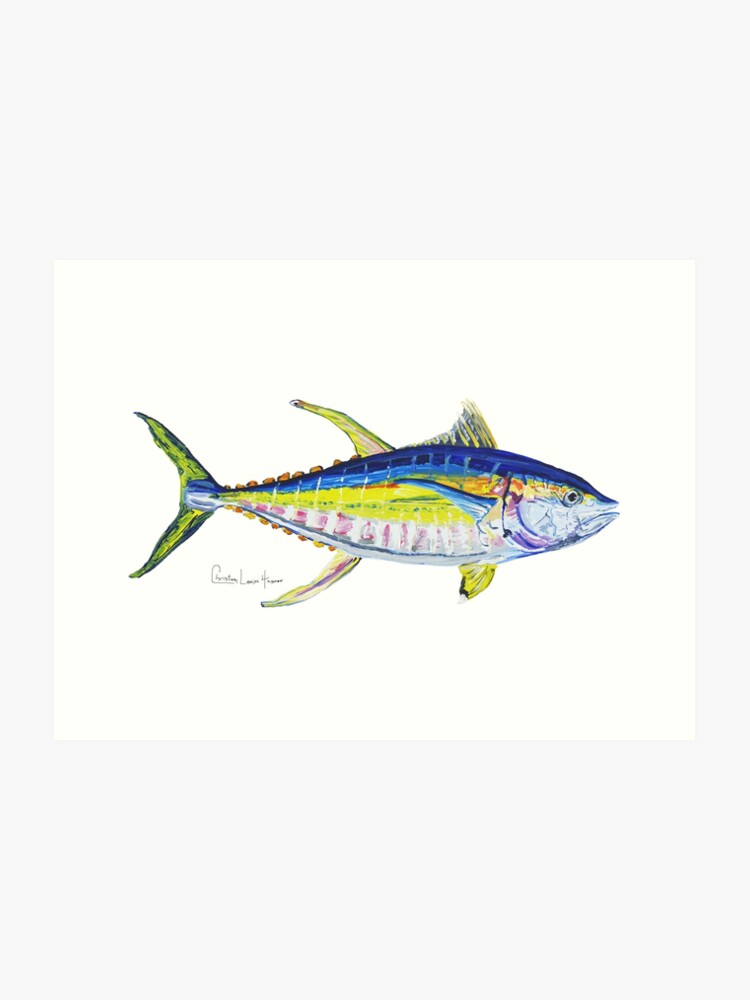 Yellowfin Tuna Size Chart