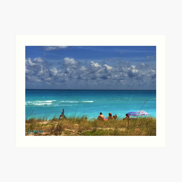 Watching the Surf Art Print