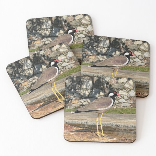 Item preview, Red-Wattled Lapwing designed and sold by Marcus.c.douglas.