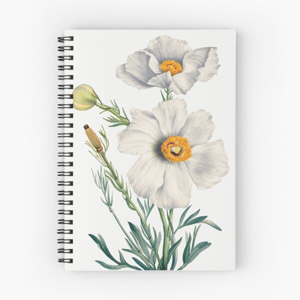 Item preview, Matilija Poppy Flowers by Mary Vaux Walcott designed and sold by sunnyartgarden.