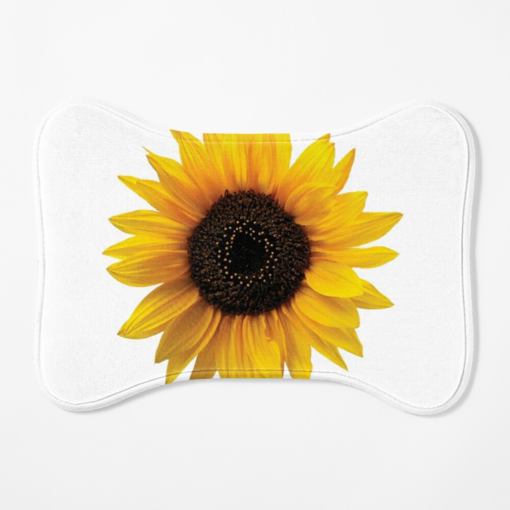 Sunflower Throw Pillow Small Daisy Cushion Petal Flower Office