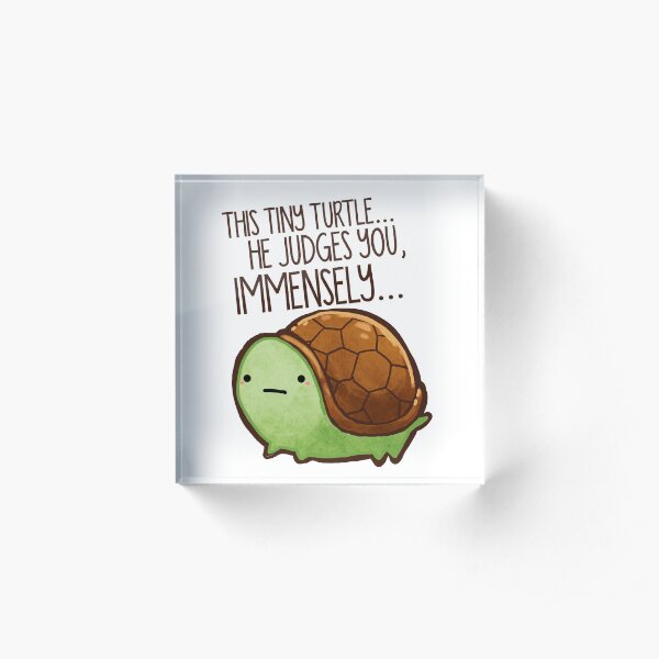 This turtle.. he judges you. Acrylic Block
