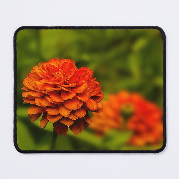 Item preview, Zinnia Brilliance designed and sold by Kay Brewer.
