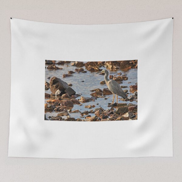 Item preview, Watching the rising tide. designed and sold by Ian Ramsay.