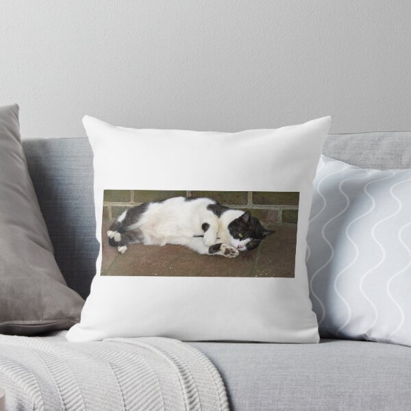 Item preview, Cat Lying Down designed and sold by Sue Robinson.