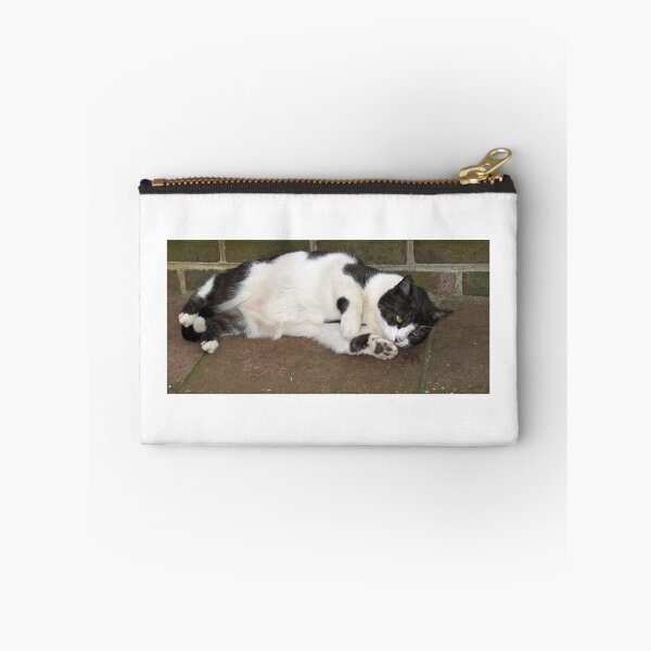 Item preview, Cat Lying Down designed and sold by Sue Robinson.