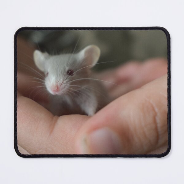 Item preview, Cute young mouse 1 designed and sold by Furiarossa.