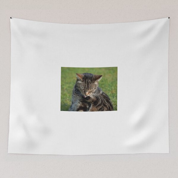 Item preview, Cat washing designed and sold by Sue Robinson.