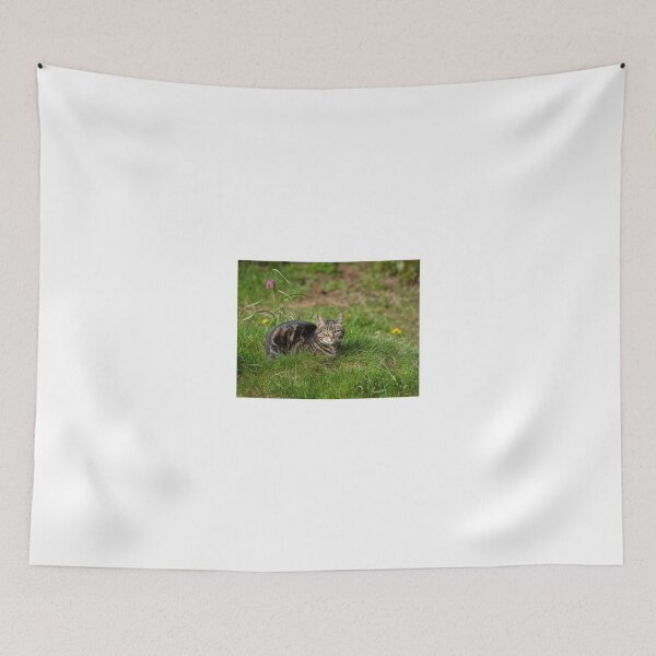 Item preview, Tabby Cat in Grass designed and sold by Sue Robinson.