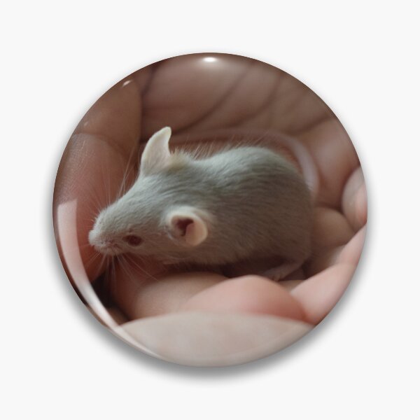 Item preview, Cute young mouse 2 designed and sold by Furiarossa.