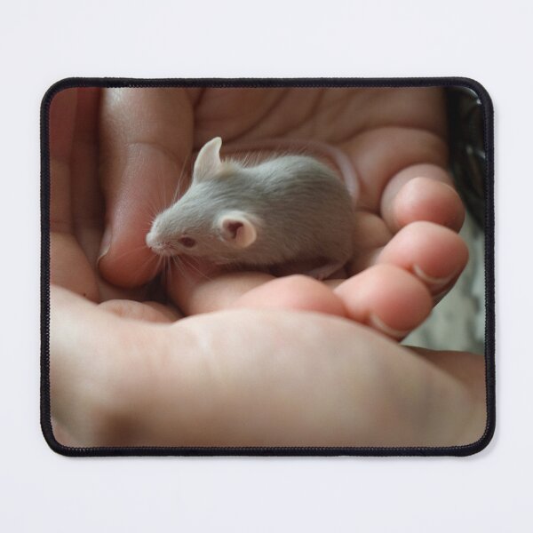 Item preview, Cute young mouse 2 designed and sold by Furiarossa.