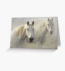 0067 Two Whites - reworked Greeting Card