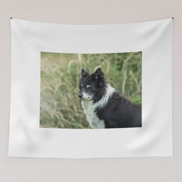 Item preview, Border Collie designed and sold by Sue Robinson.