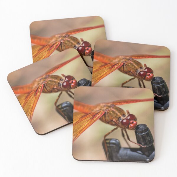 Item preview, How do you turn this thing on? designed and sold by Art in Nature.