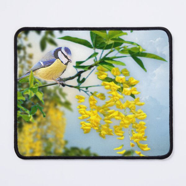 Item preview, Blue Tit on Laburnum designed and sold by MoragBates.