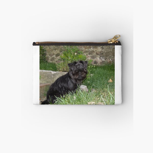 Item preview, Affenpinscher Puppy designed and sold by Sue Robinson.