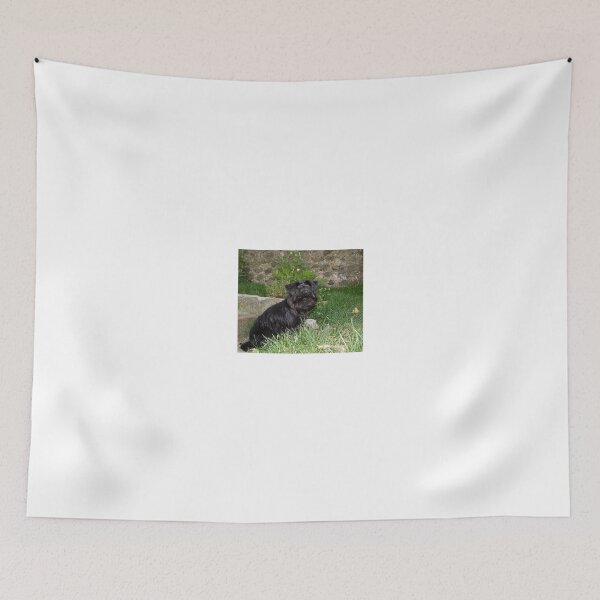 Item preview, Affenpinscher Puppy designed and sold by Sue Robinson.