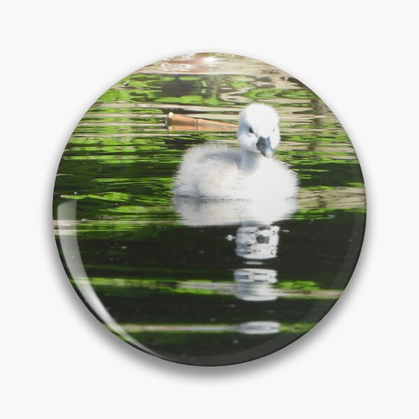 Item preview, Little Cygnets First Swim designed and sold by PhotosBySusanne.