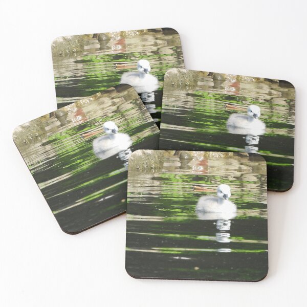 Item preview, Little Cygnets First Swim designed and sold by PhotosBySusanne.