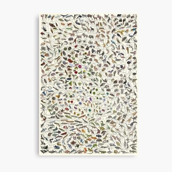 Item preview, Tree of Life Poster - Animal and Plant Evolution - Colour (Scientific Annotations others available) Cream designed and sold by EvolutionPoster.