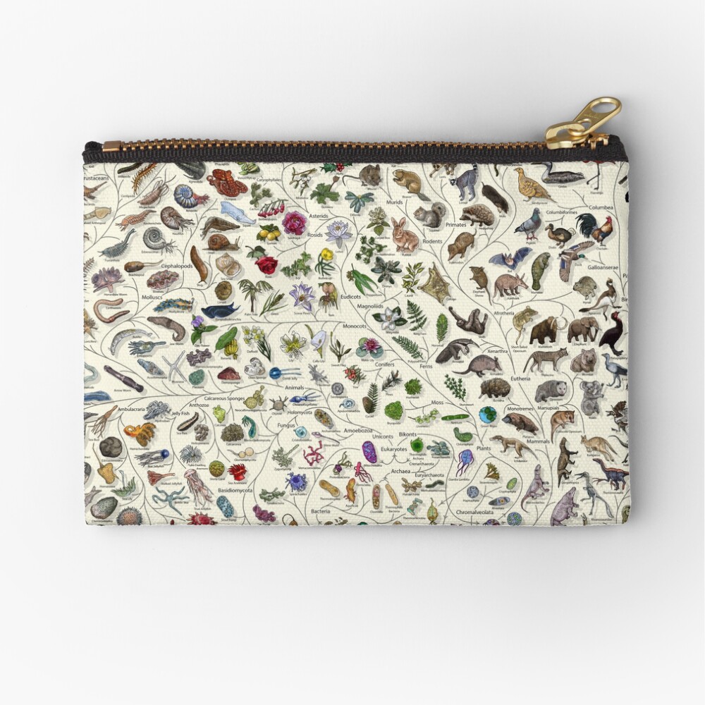 Item preview, Zipper Pouch designed and sold by EvolutionPoster.