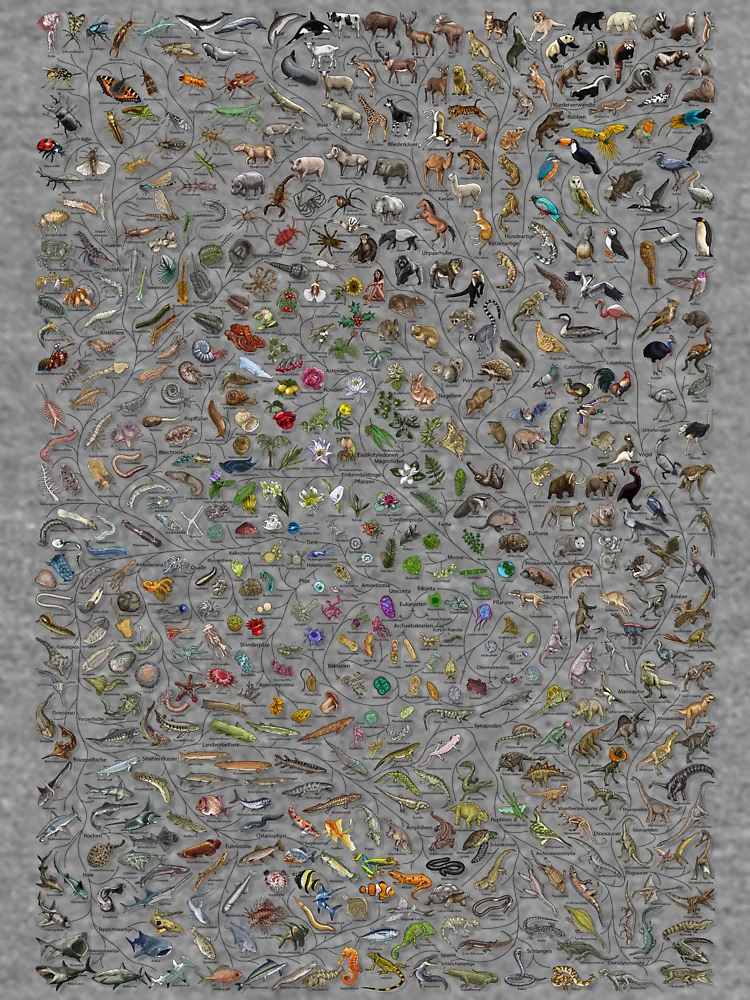 Thumbnail 6 von 6, Leichter Pullover, Baum des Lebens Poster - Tier und Pflanze Evolution - Farbe (Deutsche Anmerkungen andere verfügbar) designt und verkauft von EvolutionPoster.