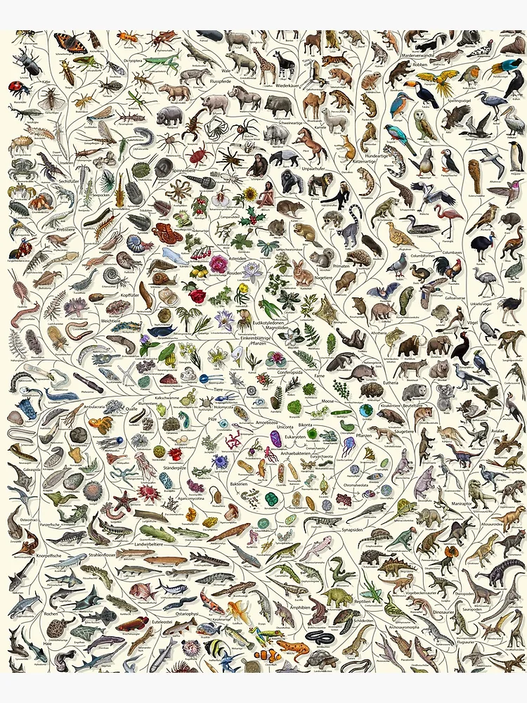 Aperçu 6 sur 6. Tablier avec l'œuvre Baum des Lebens Poster - Tier und Pflanze Evolution - Farbe (Deutsche Anmerkungen andere verfügbar) créée et vendue par EvolutionPoster.