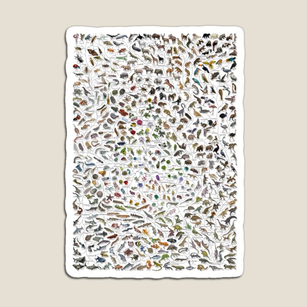 Item preview, Baum des Lebens Poster - Tier und Pflanze Evolution - Farbe (Deutsche Anmerkungen andere verfügbar) designed and sold by EvolutionPoster.