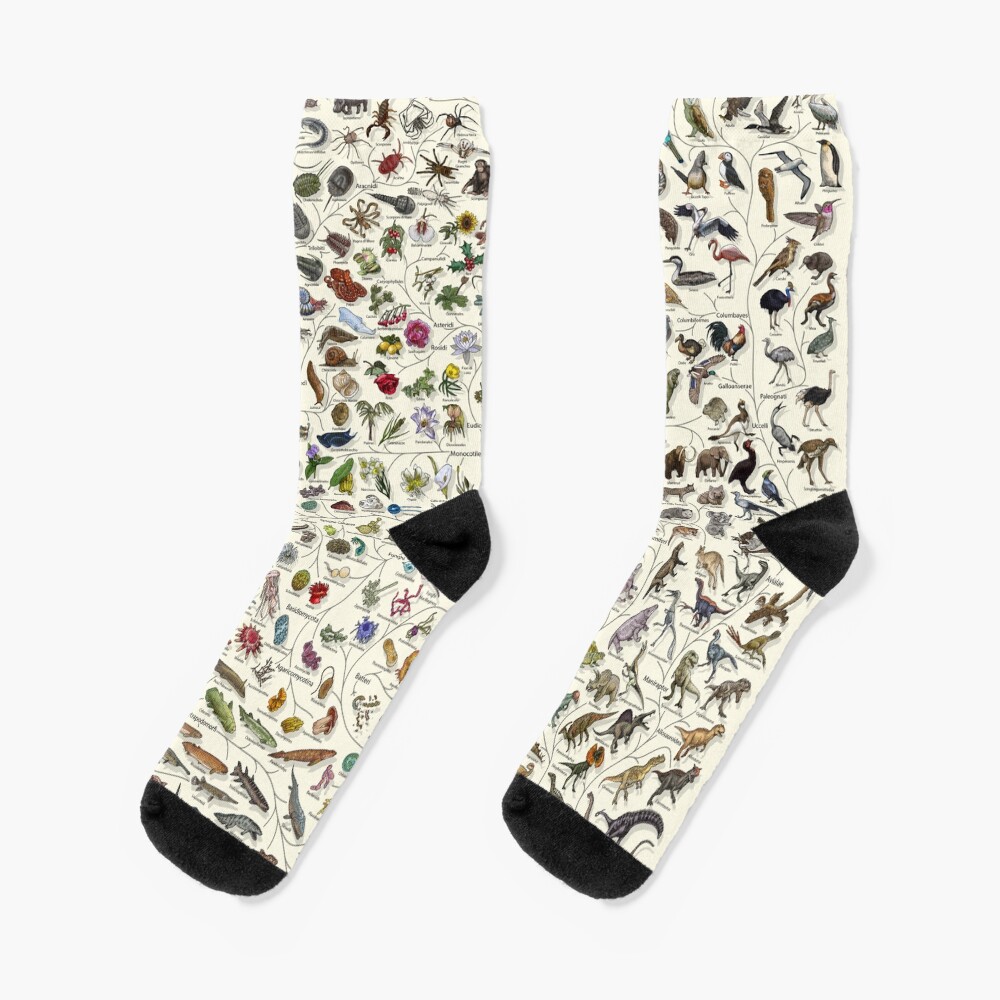 Item preview, Socks designed and sold by EvolutionPoster.