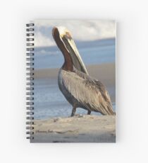 Oceanside Portrait of a Pelican Spiral Notebook