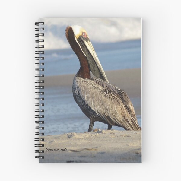 Item preview, Oceanside Portrait of a Pelican designed and sold by SummerJade.