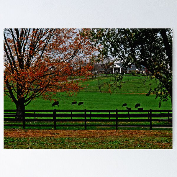 Item preview, Ranch designed and sold by Mariann Kovats.