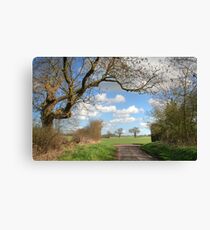 Hertfordshire Lane Canvas Print