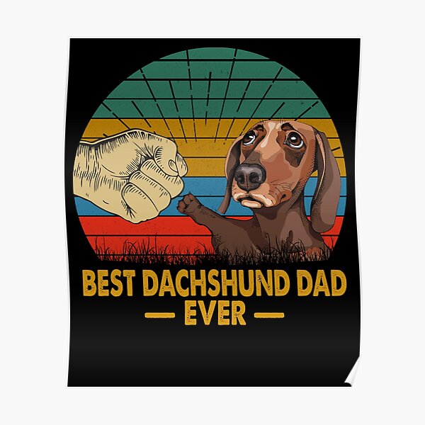 doxie dad